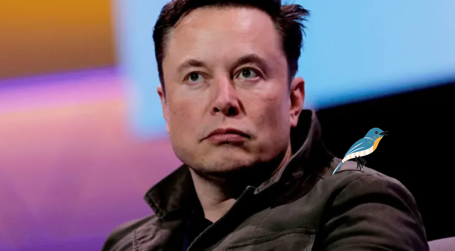 Elon Musk and the Canary in the coalmine: A message to startups in 2023